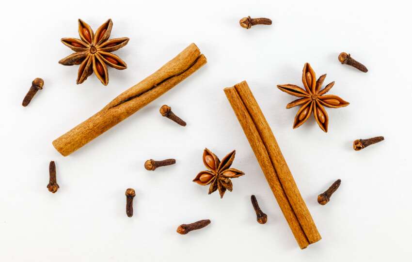 True Cinnamon from Sri Lanka